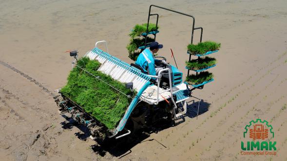 How Wholesale Trading Rice Planting Machine Cause a Boom Market?