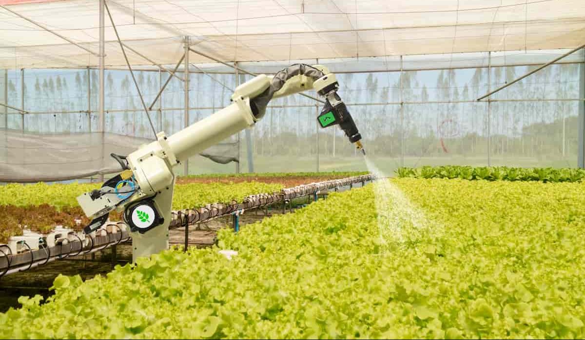  Agriculture Robot purchase price + excellent sale 