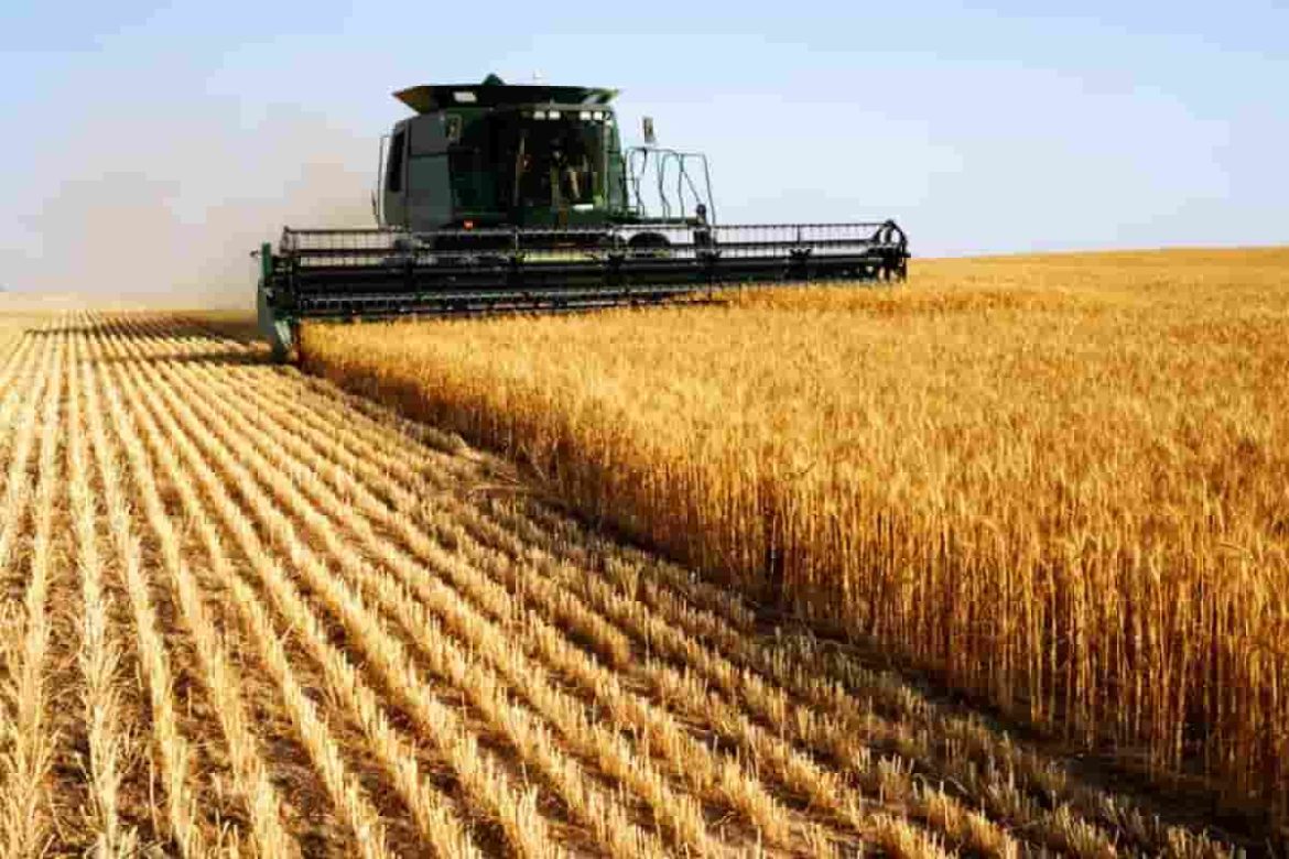 What is the best Agricultural Inventions?