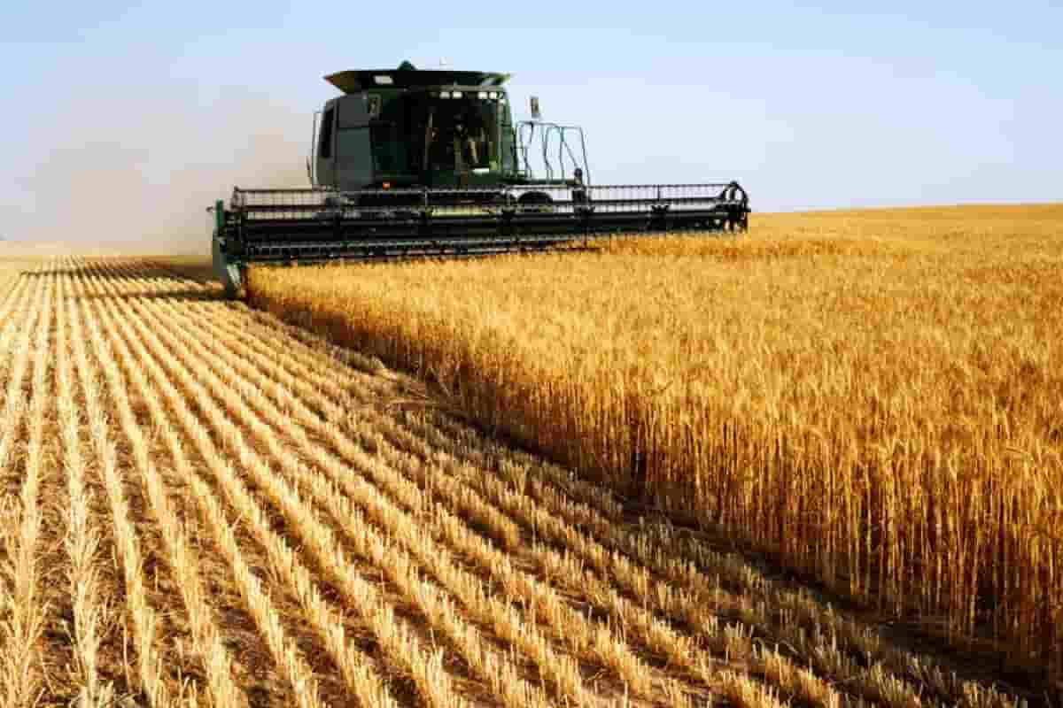  What is the best Agricultural Inventions? 