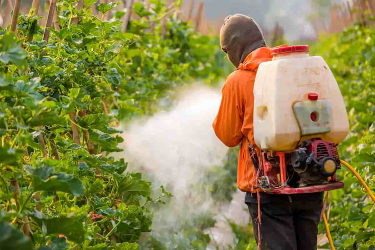  Buying Agricultural Sprayers types with the best price 