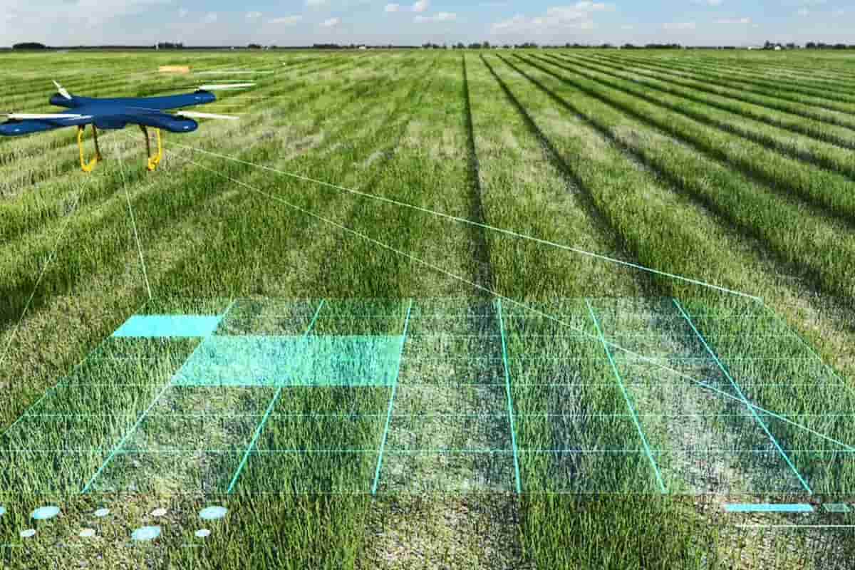  Artificial cognition for applications in smart agriculture + buy 