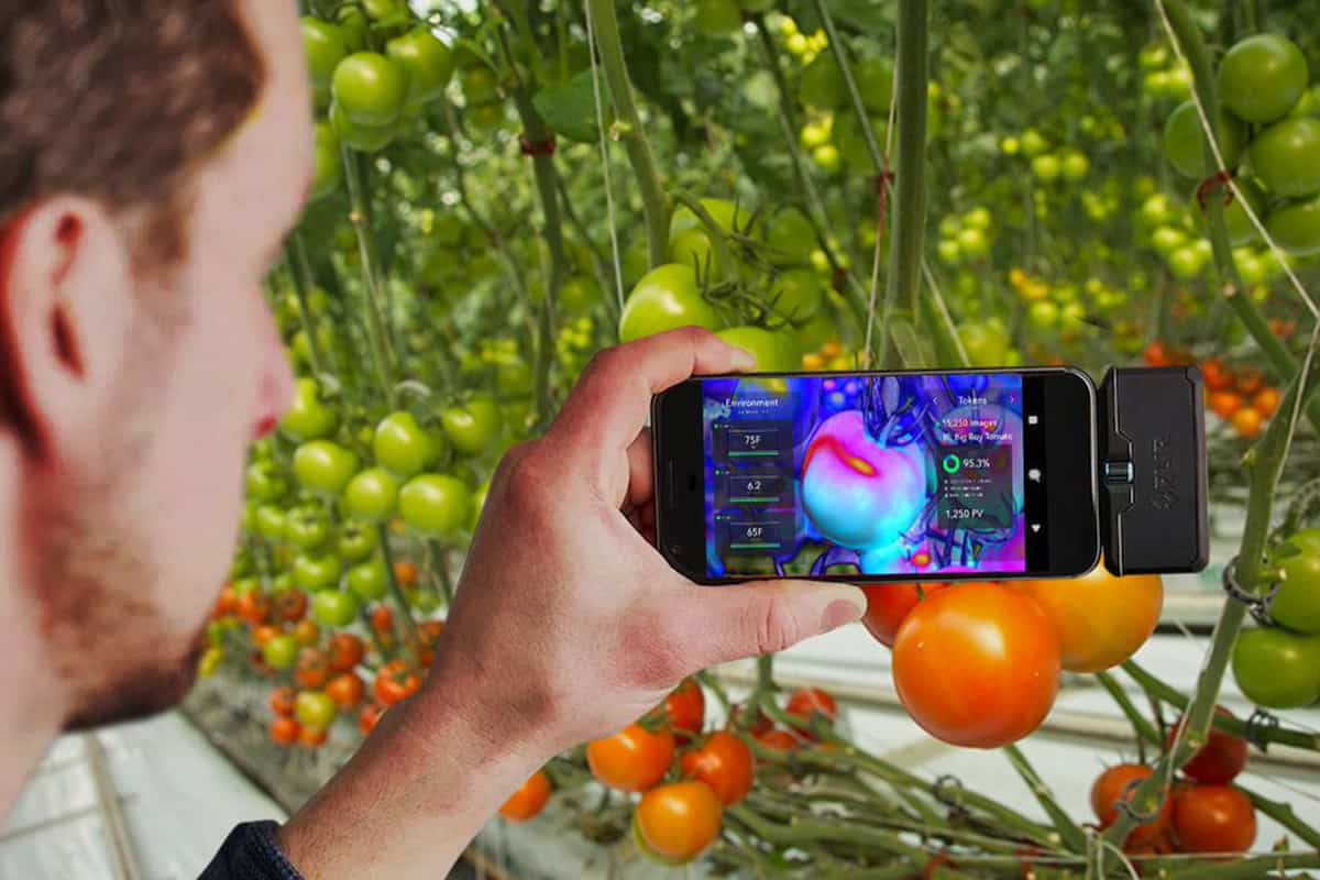  Artificial cognition for applications in smart agriculture + buy 