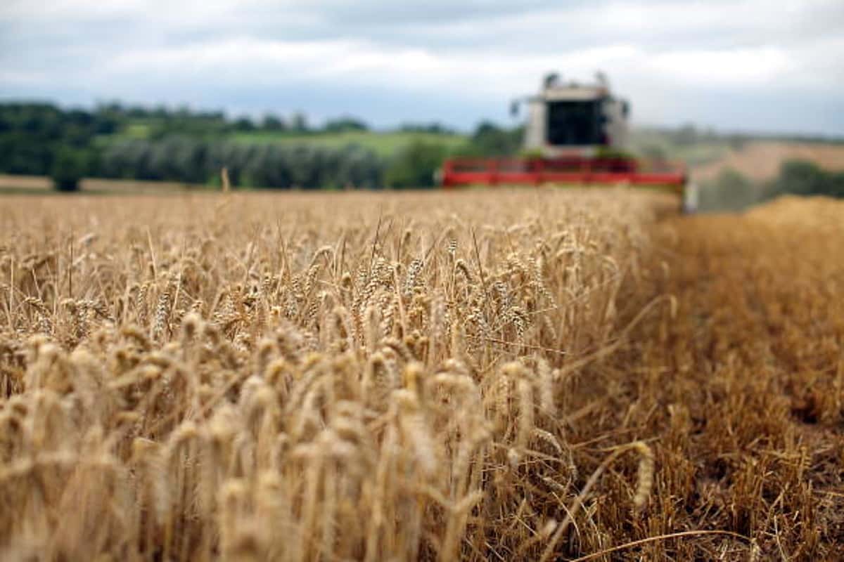  Smart Production of Wheat in the UK 